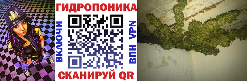 Марихуана сатива  hydra ссылка  Верея 
